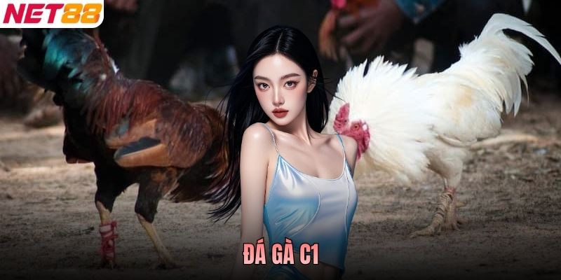 Đá Gà C1 - Đỉnh Cao Đẳng Cấp Của Những Chiến Kê Hàng Đầu