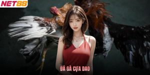 Đá Gà Cựa Dao - Luật Và Cách Nhận Diện Chiến Tướng Mạnh