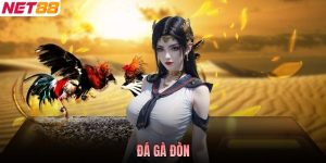 Đá Gà Đòn - Nghệ Thuật Thi Đấu Đỉnh Cao Của Làng Gà Chọi