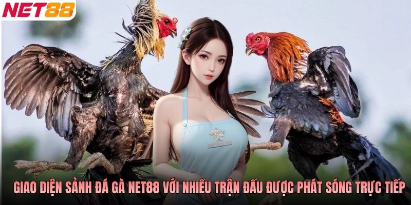 Giao diện sảnh đá gà NET88 với nhiều trận đấu được phát sóng trực tiếp