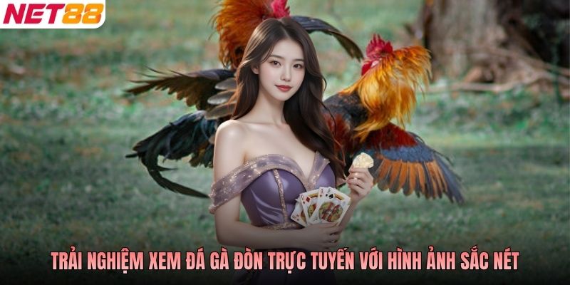 Trải nghiệm xem đá gà đòn trực tuyến với hình ảnh sắc nét